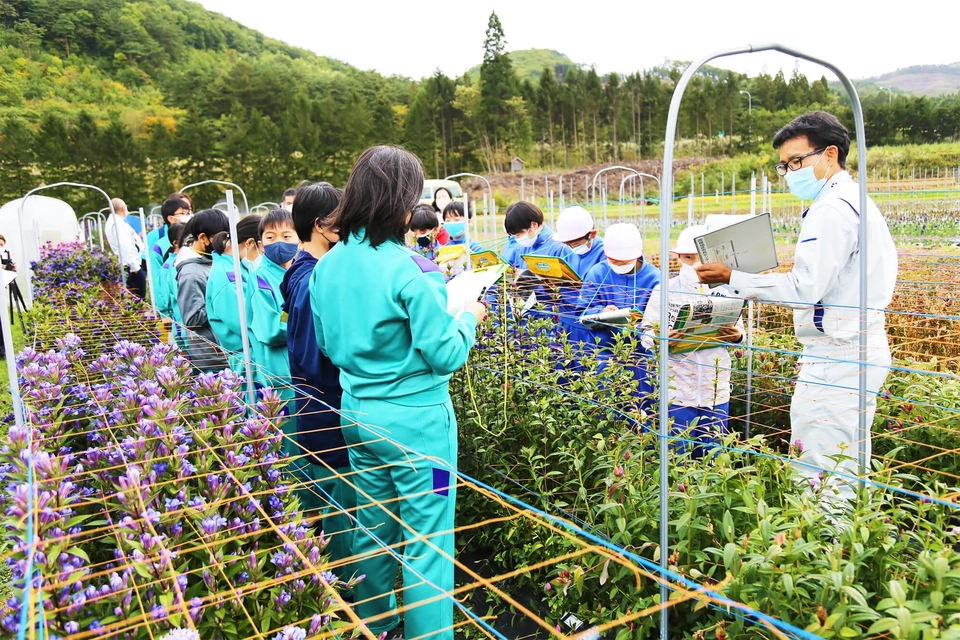 花き集出荷場見学の様子写真