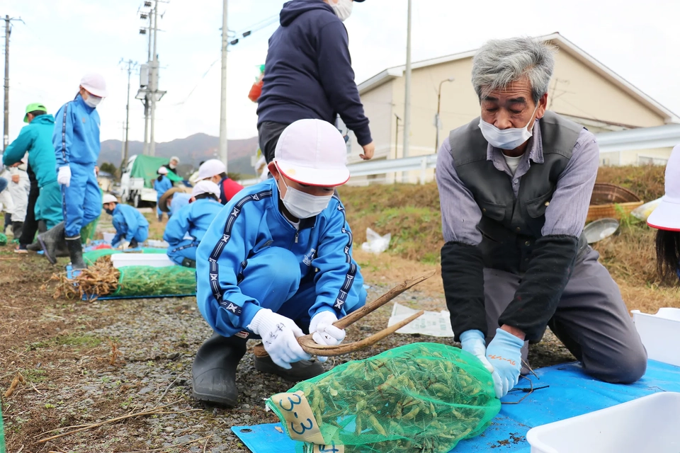 大豆の脱穀体験の様子写真