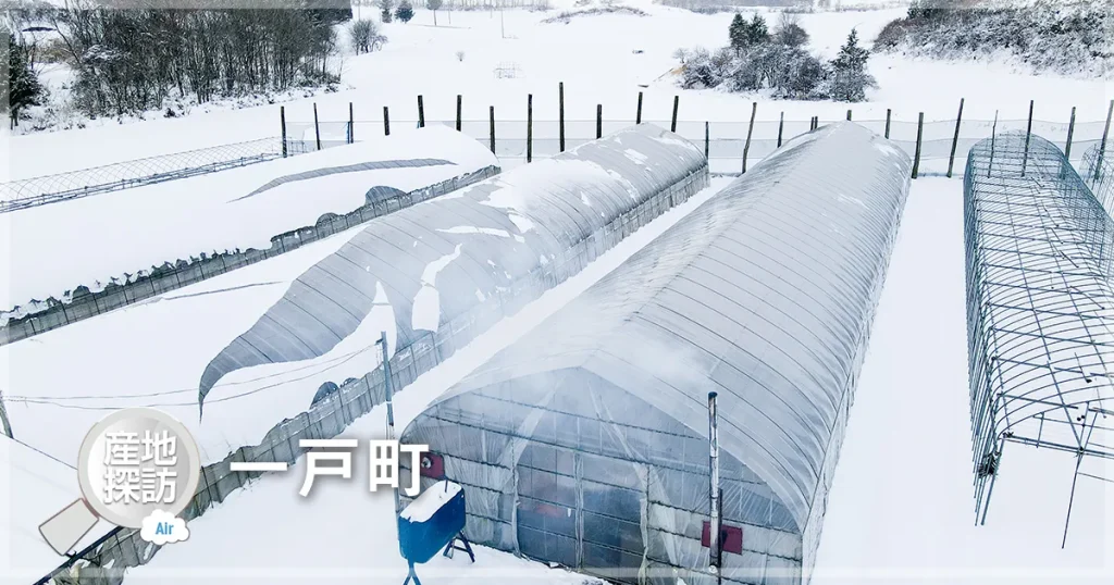産地探訪Air 一戸町「アスパラガス」