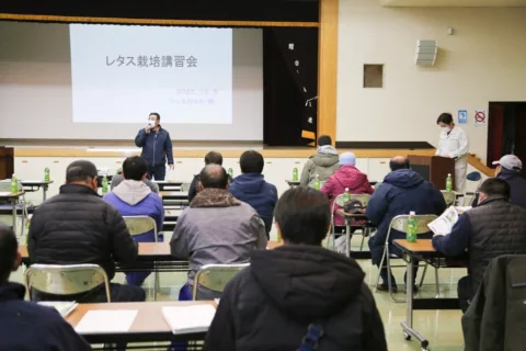 安定出荷目指しレタス品種勉強会二戸地域野菜生産部会奥中山支部レタス専門部