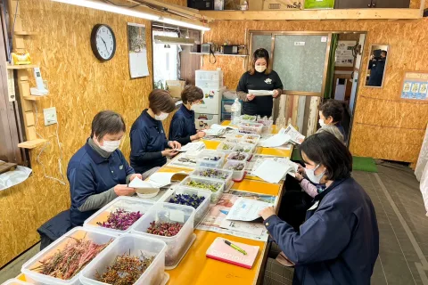 女性花き生産者で相互交流　<br>八幡平市でリンドウ加工研修会