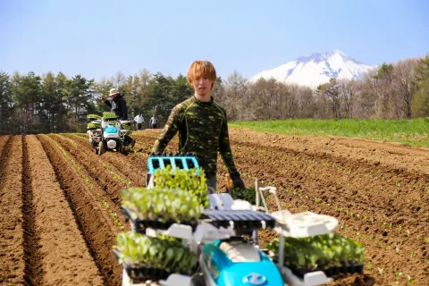 ブランドキャベツ定植開始　 ２０億円の販売を目指す