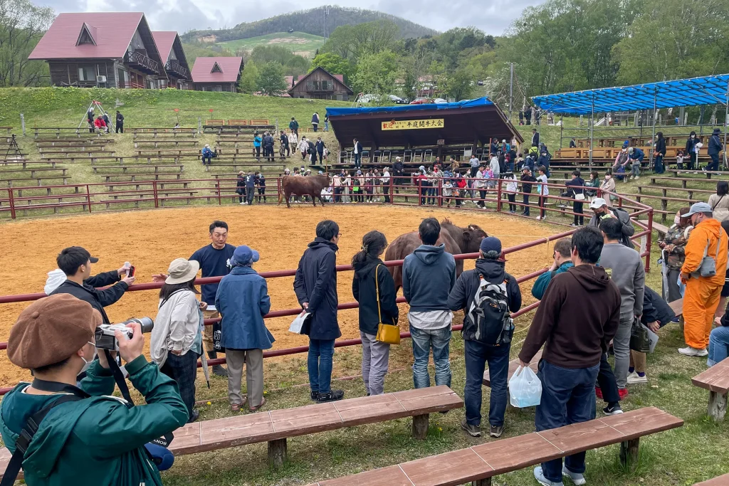 平庭闘牛大会わかば場所の様子写真