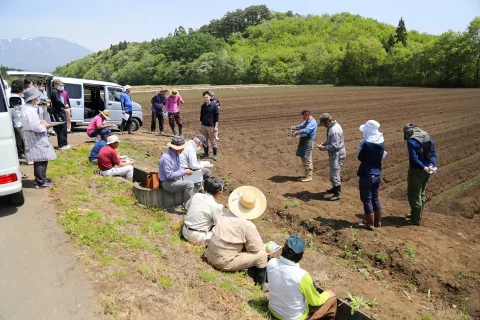 定植から定植後の管理を確認　<br>ネギ現地指導会