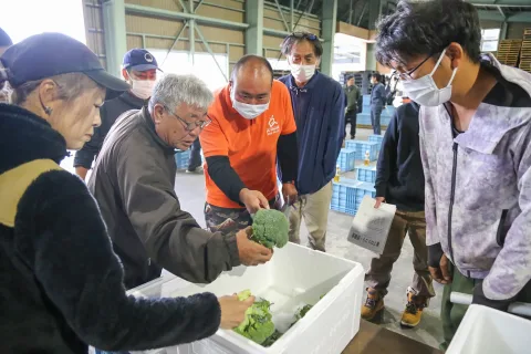 宮古地域で春ブロッコリー出荷始まる　<br>１億円産地目指す