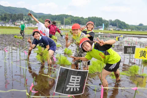 田んぼアート田植えに挑戦　<br>岩手町立一方井小学校