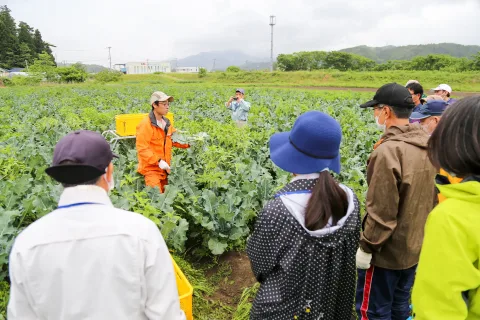 労働力確保へ　宮古地域で農作業体験会