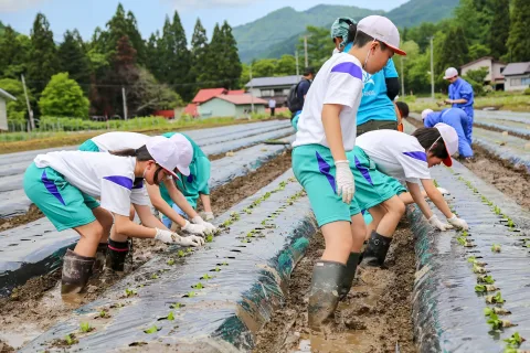 花育教科書で学び　「安代りんどう」定植体験