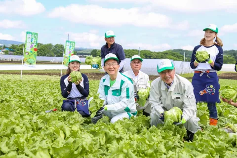 夏秋野菜出荷本番　<br>達増拓也岩手県知事らが生産者を激励