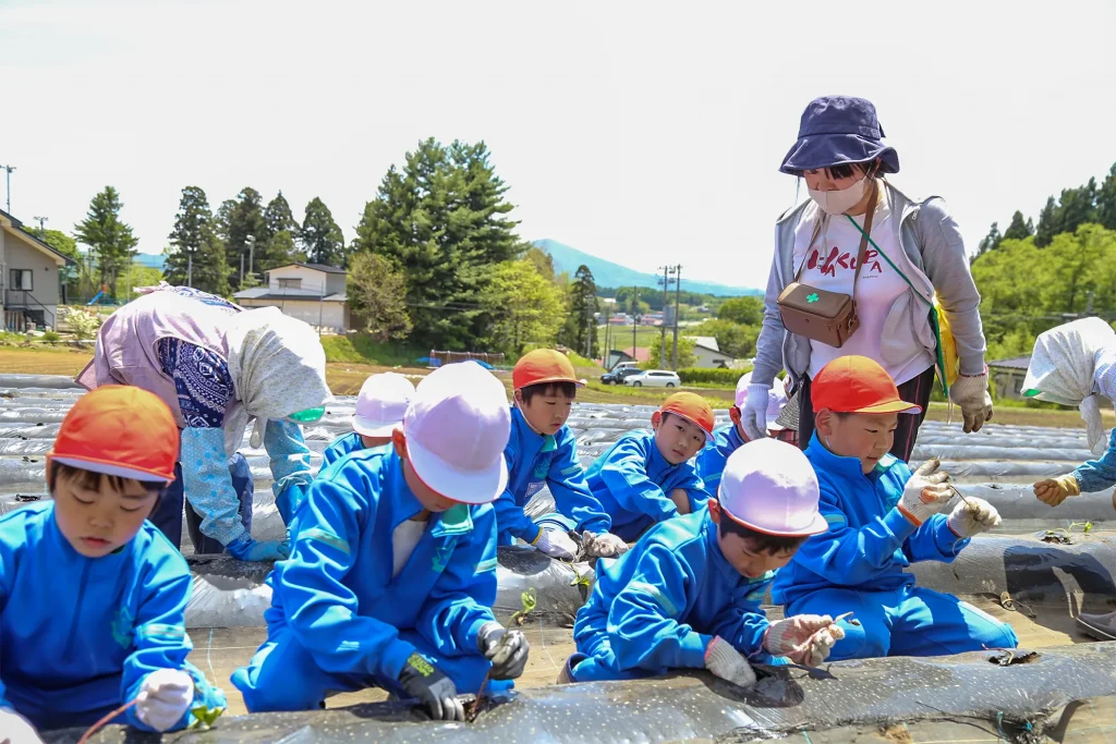 岩手町立一方井小学校野菜の苗の植え付けや種まきの様子写真