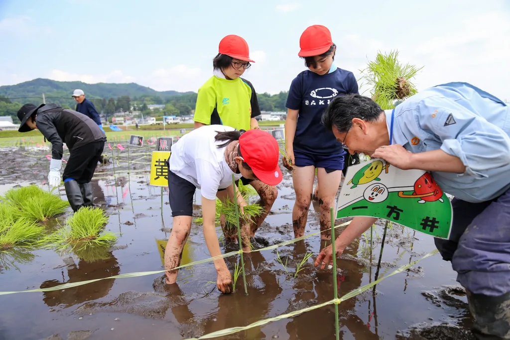 田んぼアートの田植えの様子写真