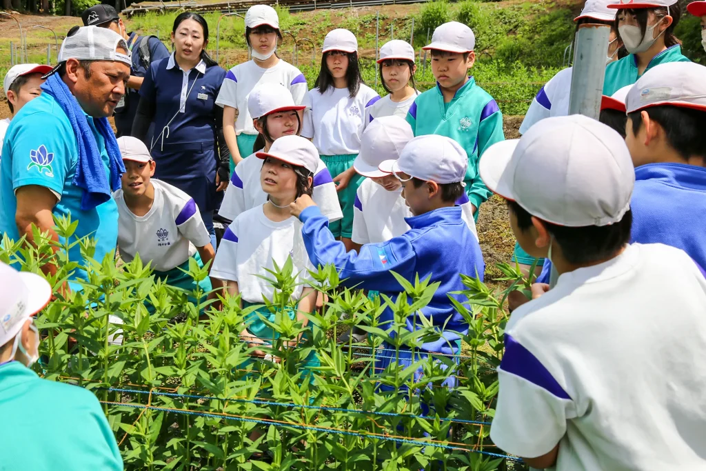 安代りんどう定植体験の様子写真