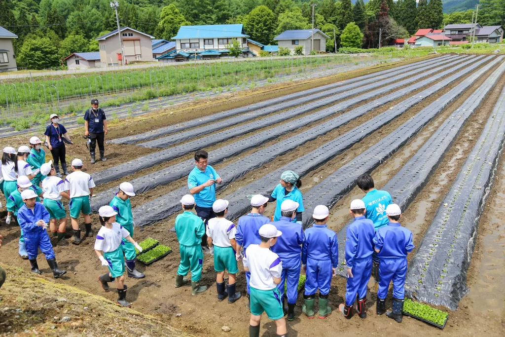 安代りんどう定植体験の様子写真