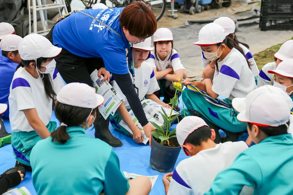 安代りんどう定植体験の様子写真