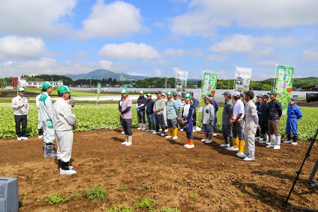 夏秋野菜生産現場視察の様子写真
