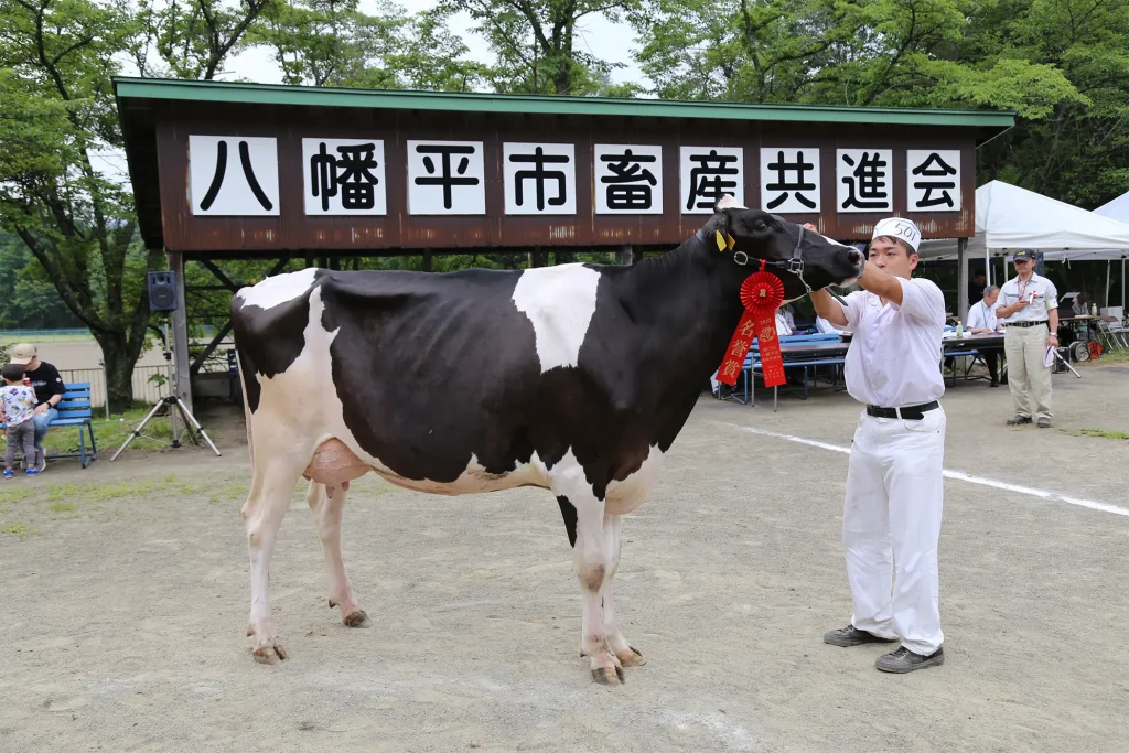 名誉賞に輝いた牛の写真