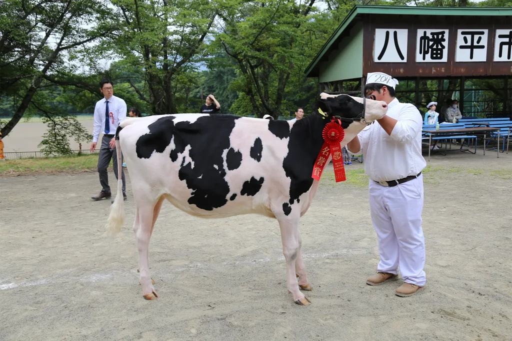 名誉賞に輝いた牛の写真