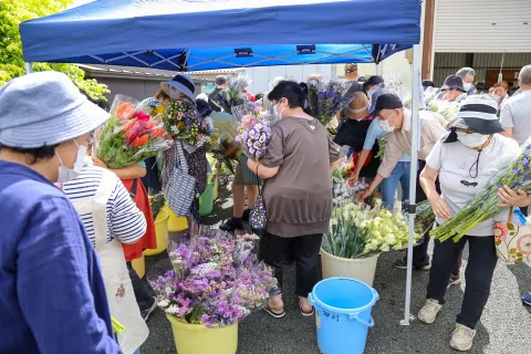 お盆用切り花好評　<br>たまやまふれあい市お盆市