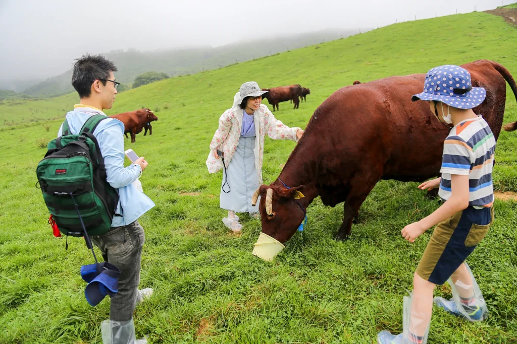 久慈市山形町で「べこツアー」の様子写真