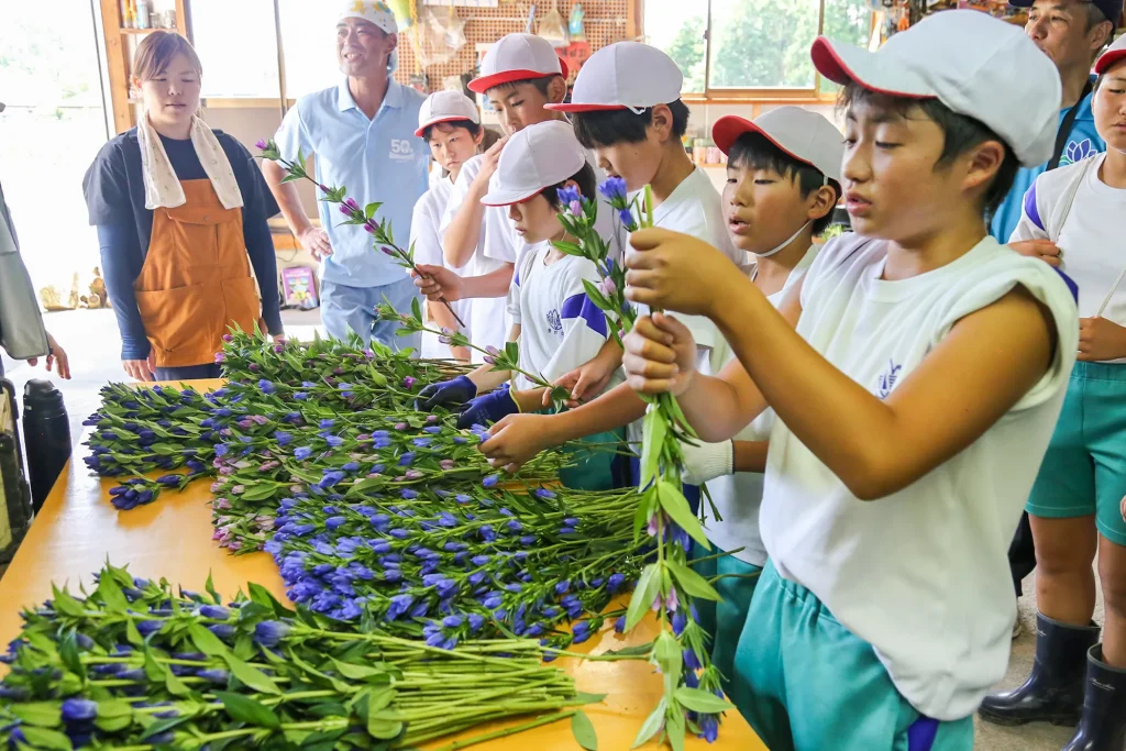地元の小学生のリンドウの収穫などを体験する様子写真