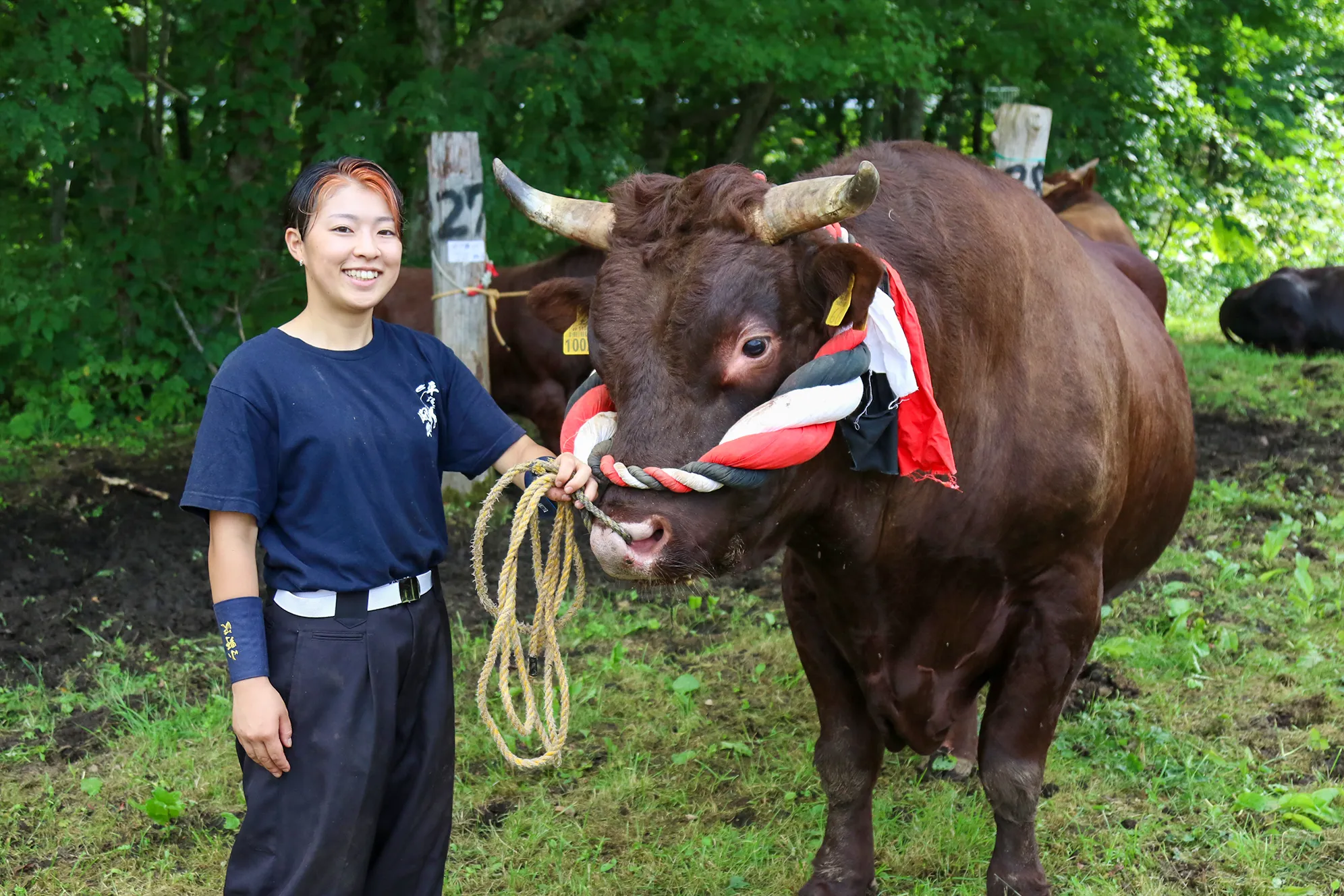闘牛の勢子として活躍 <br>山形村短角牛のPRに | JA新いわて