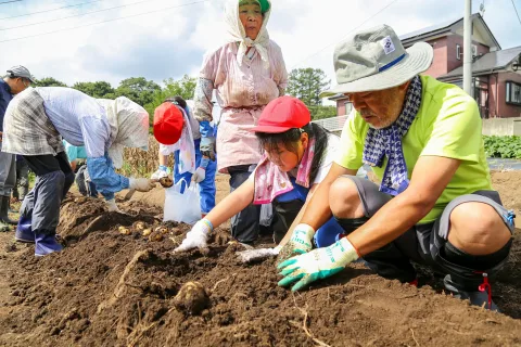 一方井小学校畑作体験　じゃがいも収穫し、カレーで味わう