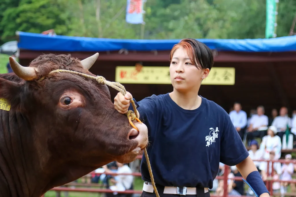 平庭闘牛大会の様子写真