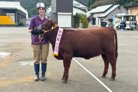 佐藤さん名誉賞に　<br>宮古地方日本短角種子牛共進会