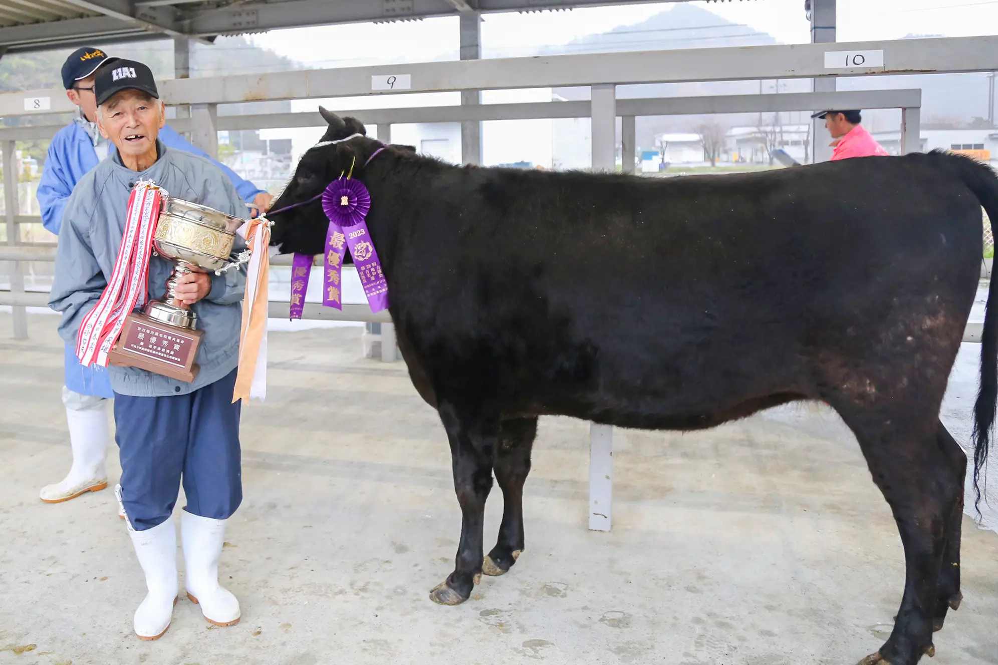 お岩さん専用 お岩お岩 FULL COLOR ver.Momiji A 発売！ – 三巴彫 | スリータイズ