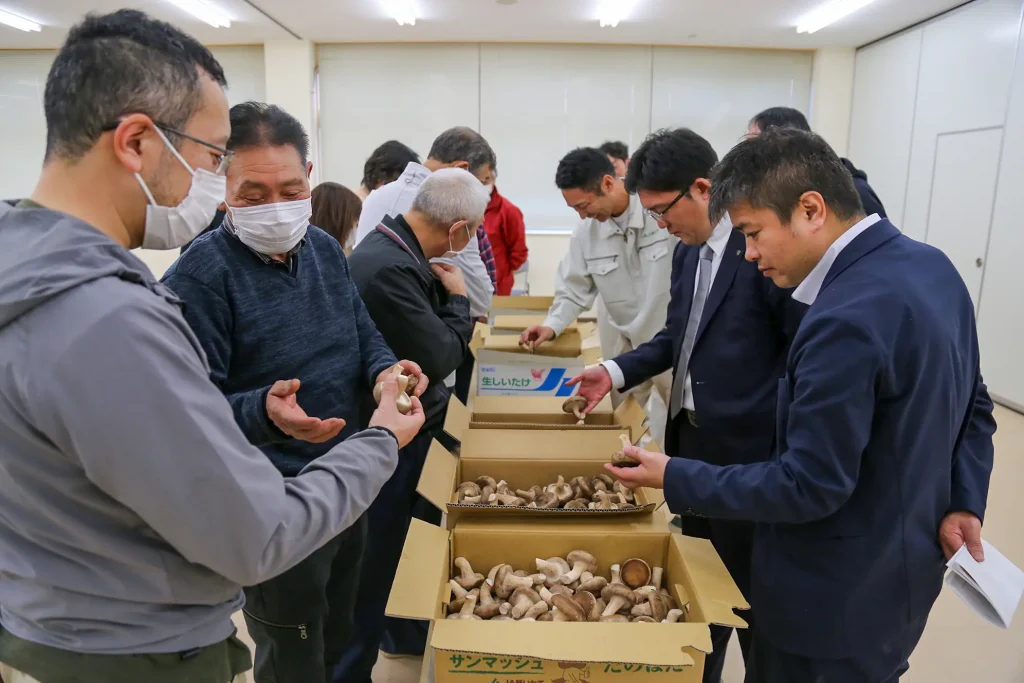 菌床シイタケ目揃い会の様子写真