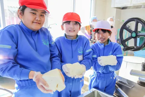 育てた大豆で豆腐づくり　<br>一方井小学校３年生の食育活動