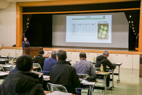 良品出荷めざし品種特性学ぶ　<br>レタス品種勉強会　