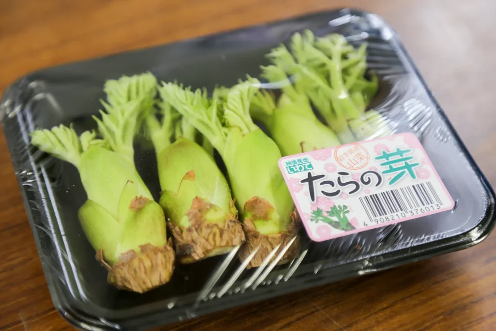 出荷されたタラの芽の様子写真