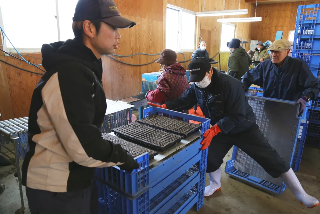 細心の注意を払い、丁寧に種をまくメンバーら