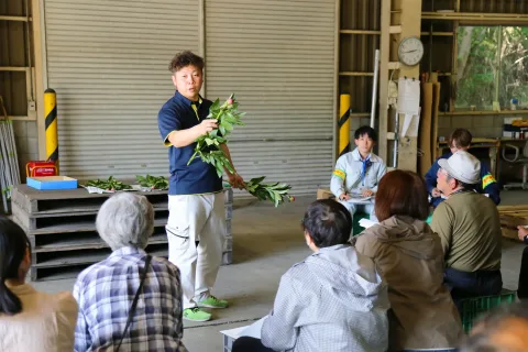 シャクヤク出荷始まる　<br>３００００本の出荷めざす