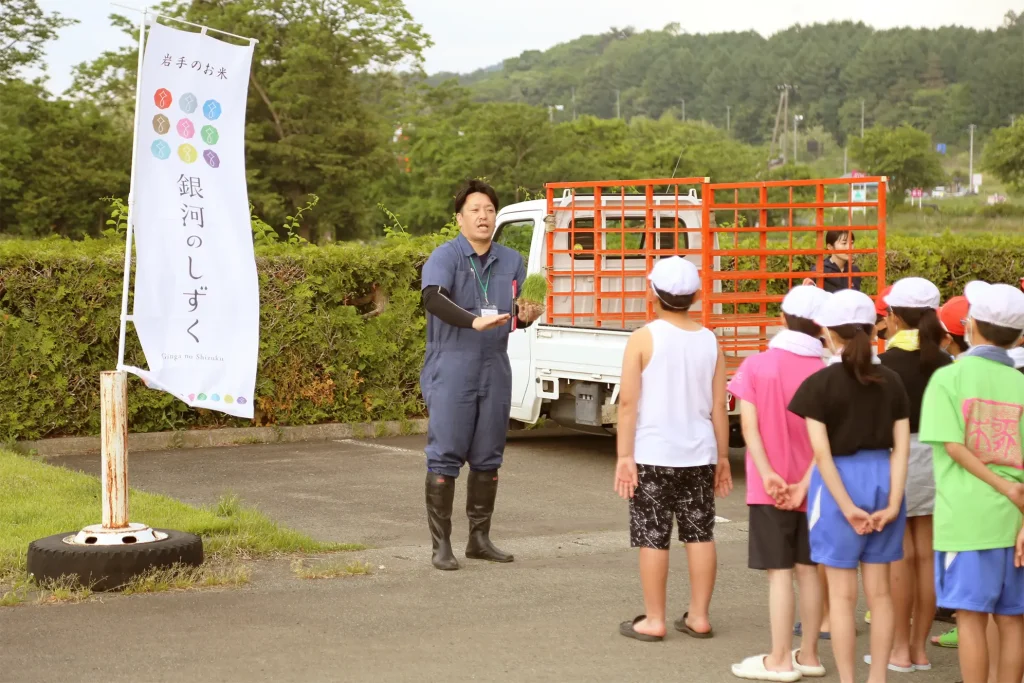 田植え体験のようす