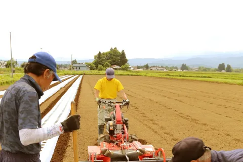部会とＪＡが一丸　<br>新規栽培者を支援しリンドウ栽培拡大へ