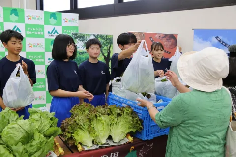 地元の宝「奥中山高原レタス」ＰＲ　<br>いちのへふるさとＰＲ大使