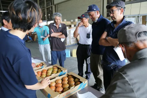 トマト目揃い会　<br>良品質出荷徹底