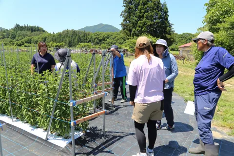生産者が参加しリンドウ全圃場を巡回　<br>新規栽培者の学びの場にも