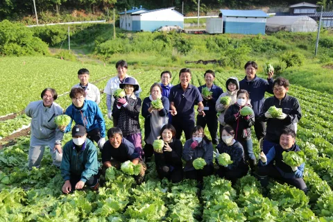 産地直送レタスを収穫　<br>モスの産直野菜フェスタ