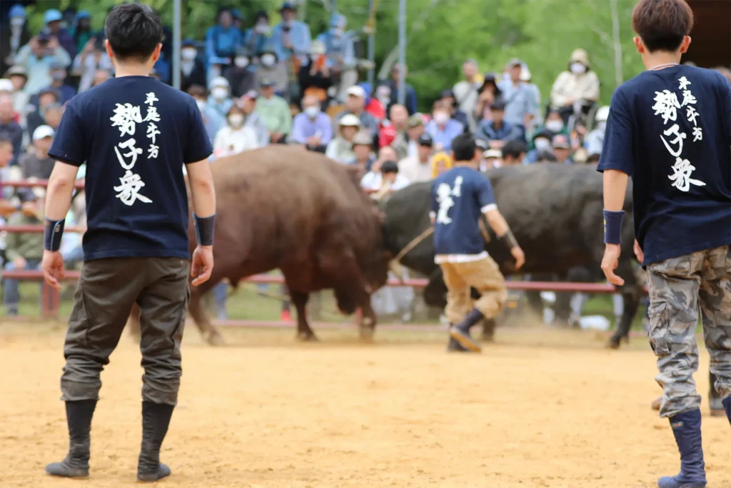 闘牛大会のようす