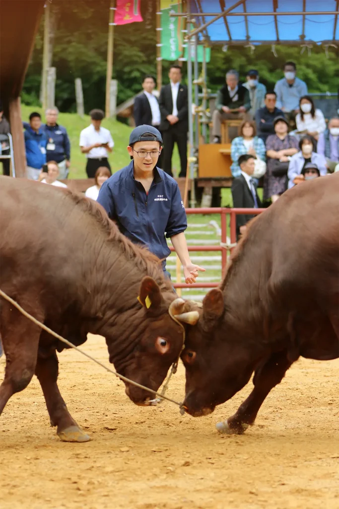 闘牛大会のようす