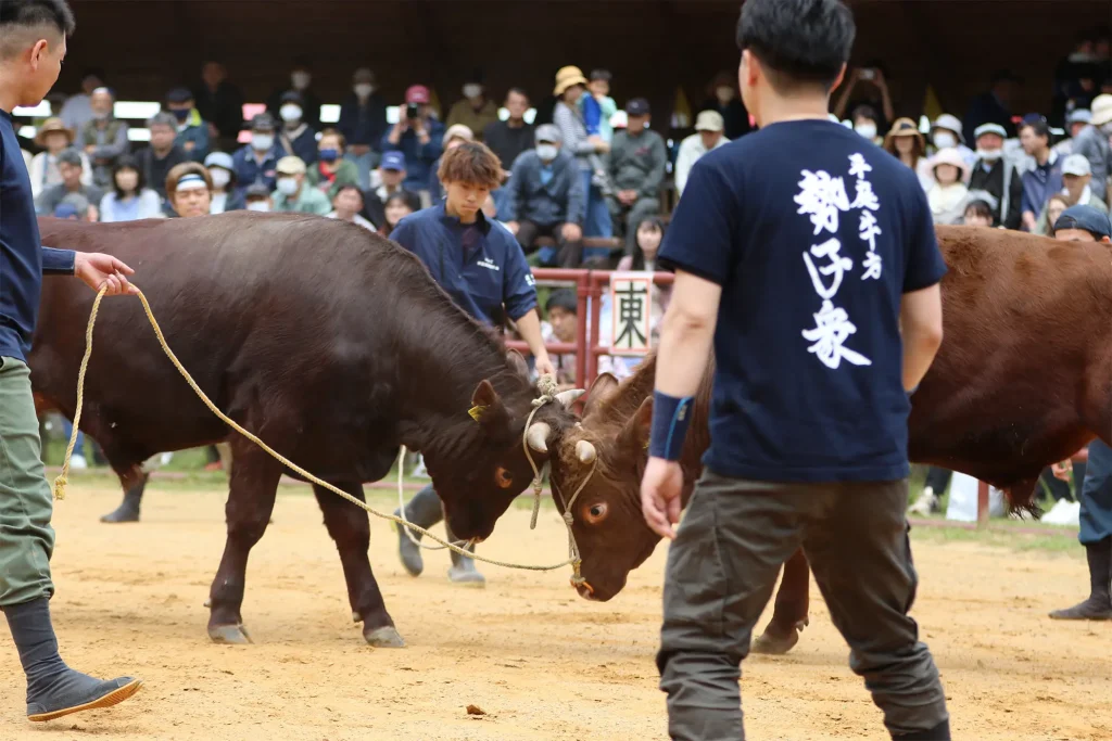 闘牛大会のようす