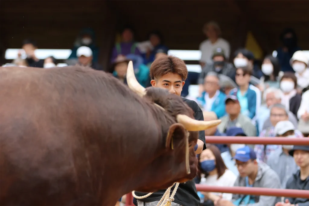 闘牛大会のようす