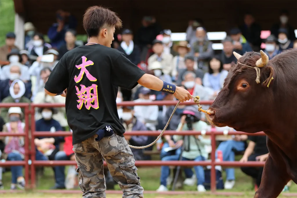 闘牛大会のようす