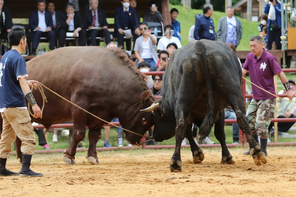 闘牛大会のようす