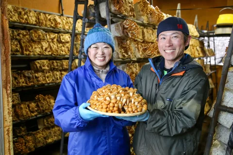 脱サラからのキノコ農家　<br>複数のキノコで通年出荷
