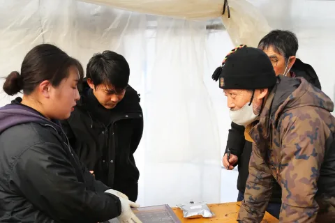九条ネギの夏秋期の産地化へ　<br>１億円の販売目指す