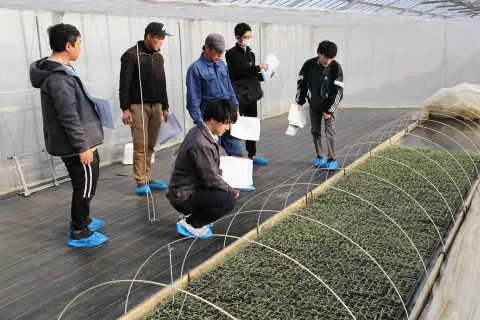 トマト栽培指導講習会　<br>育苗管理や病害虫対策学ぶ